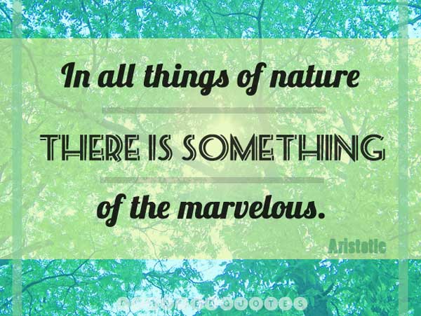 nature-picture-quote