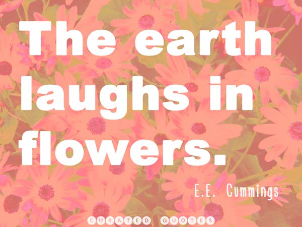 flowers-picture-quote