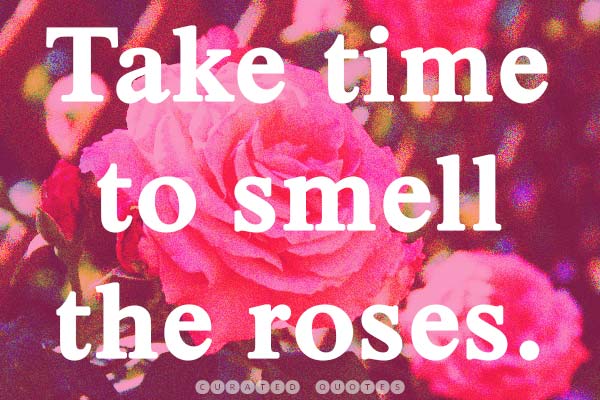 roses-picture-quote