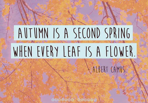 autumn-spring-quote