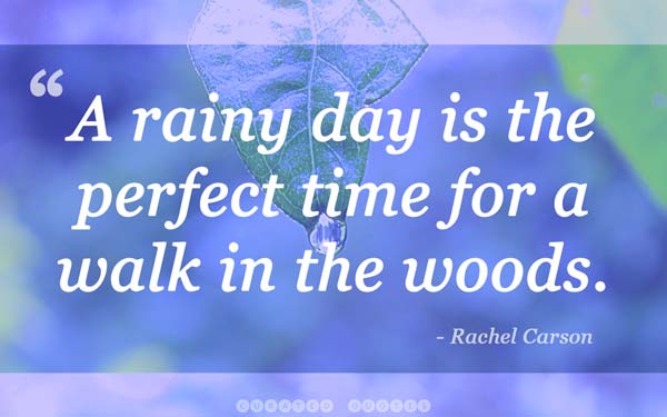 rainy-day-quote