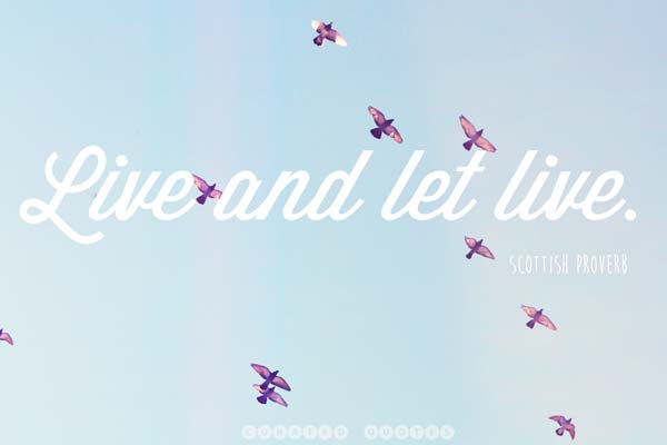 Live and Let Live