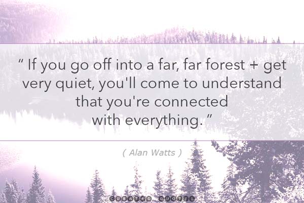 Alan Watts Quiet Forest
