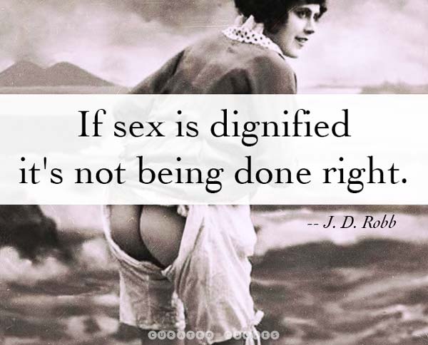 Sex Isn't Dignified