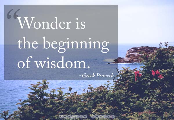 Wonder Is Wisdom