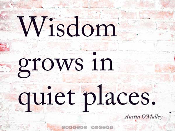 Wisdom Grows Quiet Places