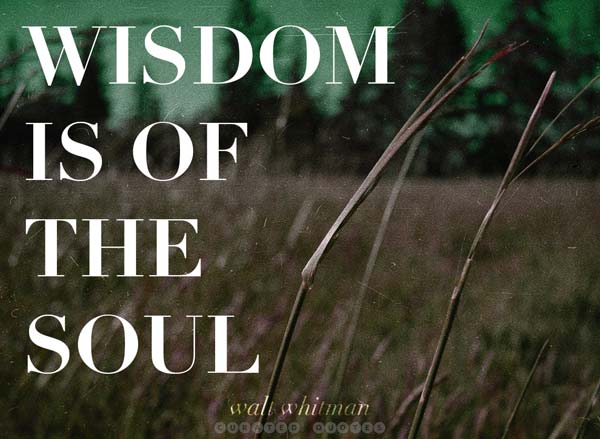 Wisdom Of The Soul