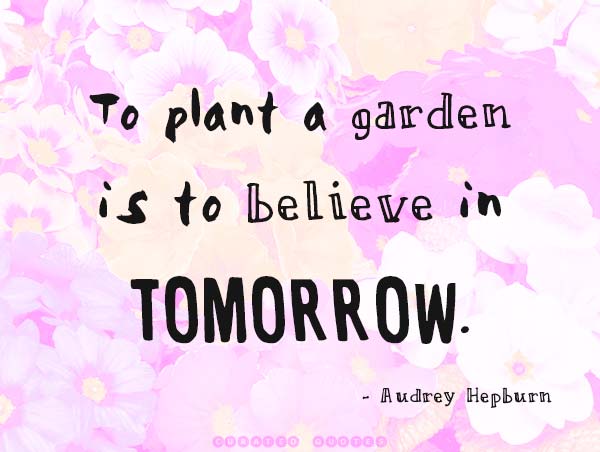 Plant A Garden Believe