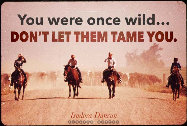 You Were Once Wild